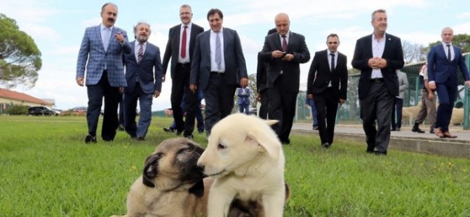 vali-kucuk-002.jpg