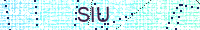 Güvenlik Resmi
